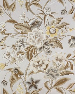 Обои Colefax and Fowler Celestine 07143-02