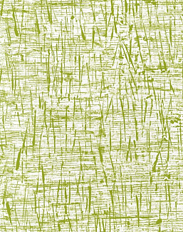 Обои Designers Guild Surabaya P630/16