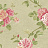 Обои York Roses PN0475