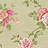 Обои York Roses PN0475