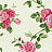 Обои York Roses PN0473