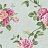 Обои York Roses PN0472