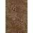 Обои York Natural Instincts NT8983