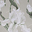 Обои Casamance Absolue 9530474