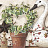 Бордюр Chesapeake Pure Country PUR44633B