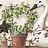 Бордюр Chesapeake Pure Country PUR44633B