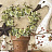 Бордюр Chesapeake Pure Country PUR44631B
