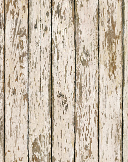 Обои Chesapeake Pure Country PUR13282