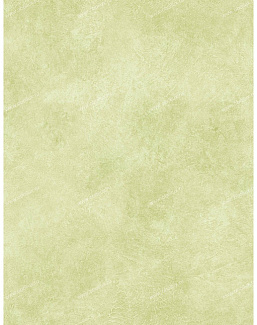 Обои Chesapeake Christel CHR257019