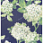 Обои Eijffinger Lavender Dream 322336