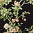 Обои Eijffinger Lavender Dream 322333