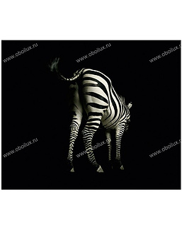 Обои Architects Paper AP Digital ZEBRA