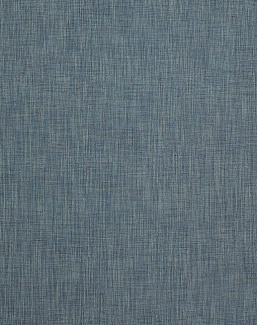Ткань Colefax and Fowler Colour Library Blue F4139/06