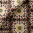 Ткань Jim Thompson Tony Duquette 3329/01
