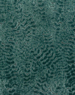 Ткань Nina Campbell Cathay Weaves NCF4160-01