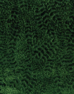 Ткань Nina Campbell Cathay Weaves NCF4160-03
