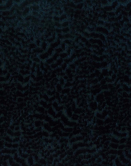 Ткань Nina Campbell Cathay Weaves NCF4160-10