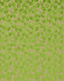 Ткань Designers Guild Savio F2105/02