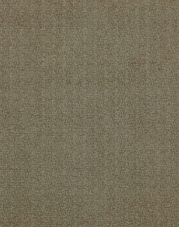 Ткань Colefax and Fowler Shaw F4334/05