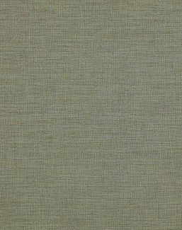 Ткань Colefax and Fowler Shaw F4337/13