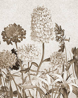 Панно и фотообои Skinwall Suite Collection 719