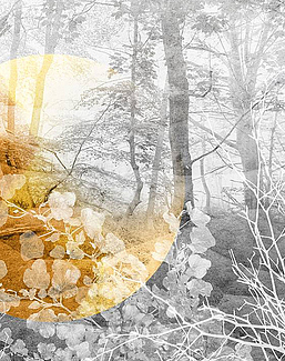 Панно и фотообои Skinwall Contemporary Collection 120