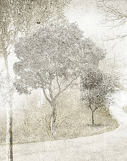 Панно и фотообои Skinwall Contemporary Collection 123