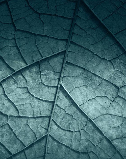 Панно и фотообои Skinwall Contemporary Collection 125A