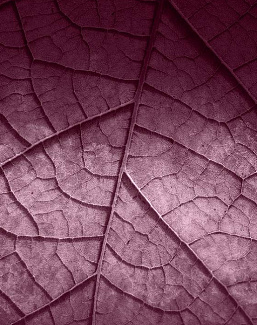 Панно и фотообои Skinwall Contemporary Collection 125B