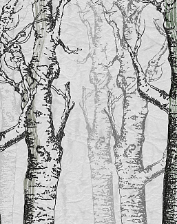 Панно и фотообои Skinwall Contemporary Collection 04A