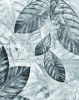 Панно и фотообои Skinwall Contemporary Collection 05B