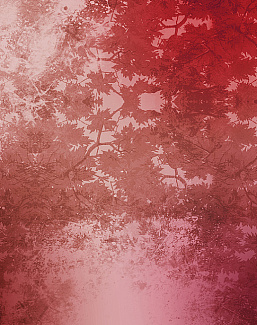 Панно и фотообои Skinwall Contemporary Collection 70A