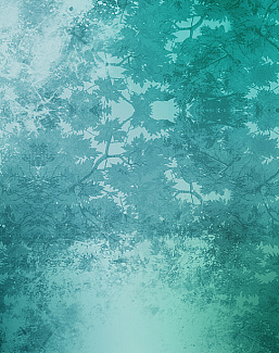Панно и фотообои Skinwall Contemporary Collection 70B