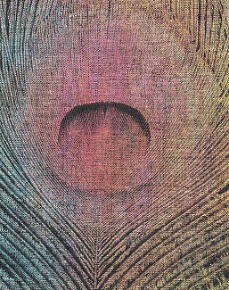 Панно и фотообои Skinwall Contemporary Collection 75