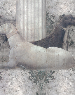 Панно и фотообои Skinwall Fragments of the Past Collection 505