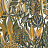 Обои Casamance Aventura 75510712