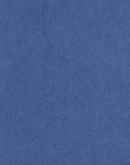 Обои Casadeco Mediterranee MEDI82386543