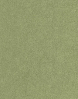 Обои Casadeco Mediterranee MEDI82387512