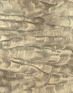 Панно и фотообои Coordonne Geo A00105