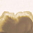 Панно и фотообои Coordonne Geo A00119