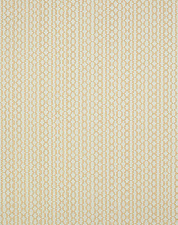 Ткань Manuel Canovas Opio M4016-04