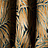 Ткань Nobilis Velours Cycas 10794.36