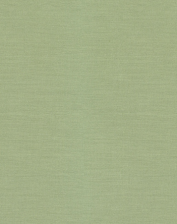 Ткань Espocada Баланс 2656/74