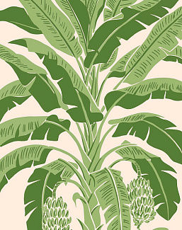 Обои Thibaut Palm Grove T13917