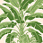Обои Thibaut Palm Grove T13917
