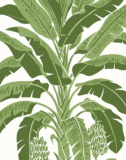 Обои Thibaut Palm Grove T13914