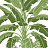 Обои Thibaut Palm Grove T13914