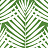 Обои Thibaut Palm Grove T13933