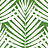 Обои Thibaut Palm Grove T13933