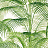 Обои Thibaut Palm Grove T13938
